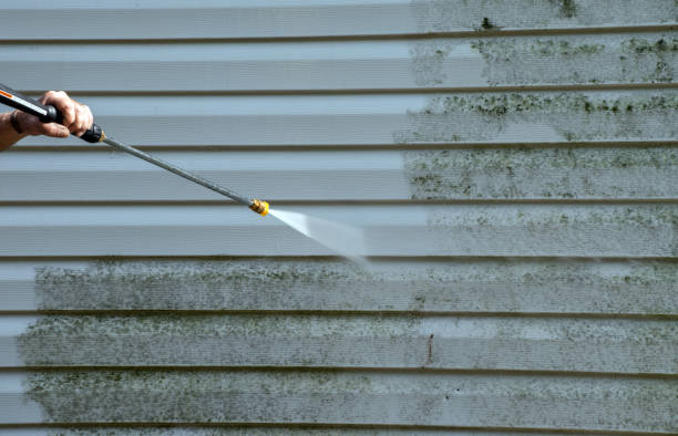 Best Factory Floor Cleaning  in Rosemont, CA